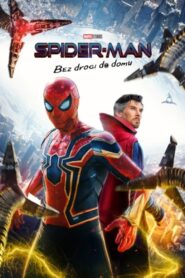 Spider-Man: Bez drogi do domu Cały film po polsku