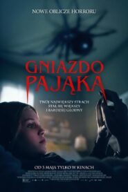 Gniazdo pająka Cały film po polsku